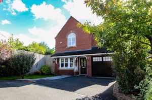 Photo 29- click for photo gallery